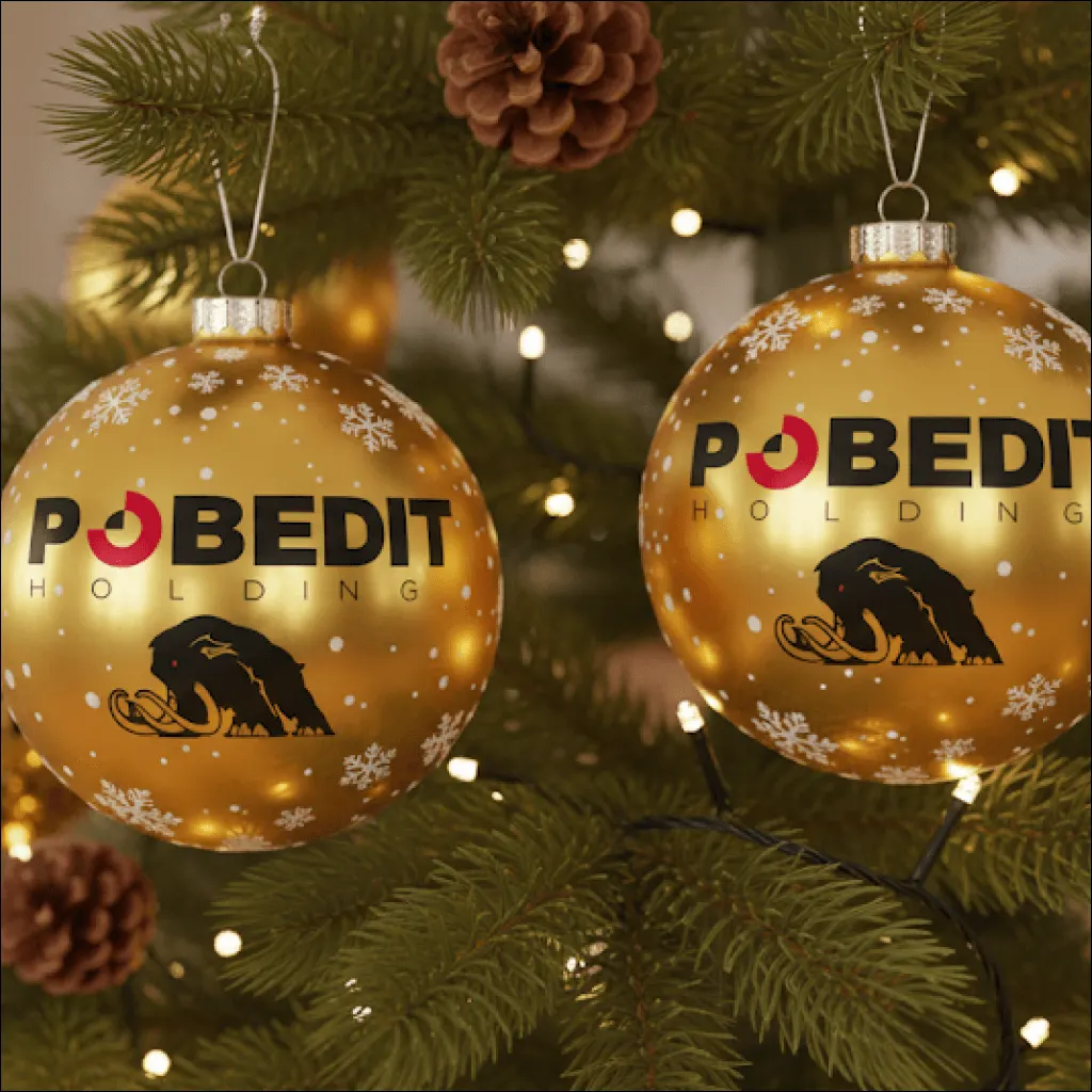Фирменный мерч POBEDIT с характером — материал и цвет